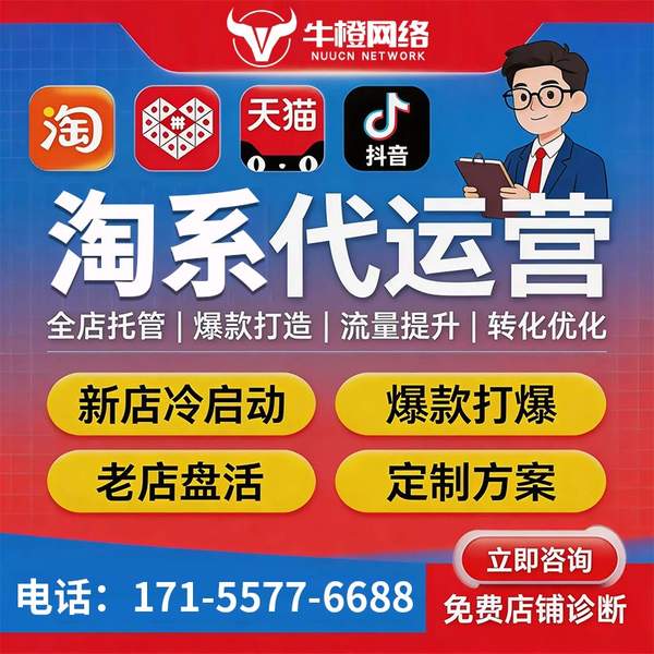 广汉电商代运营