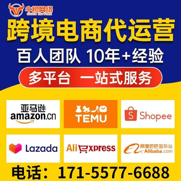 广汉电商代运营
