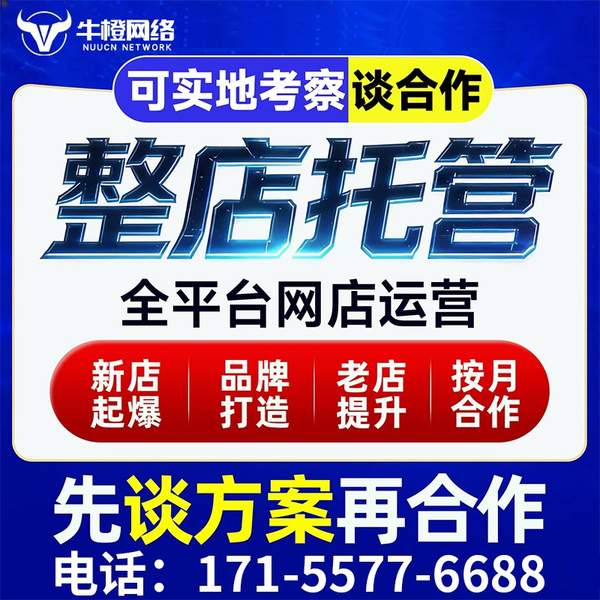广汉电商代运营