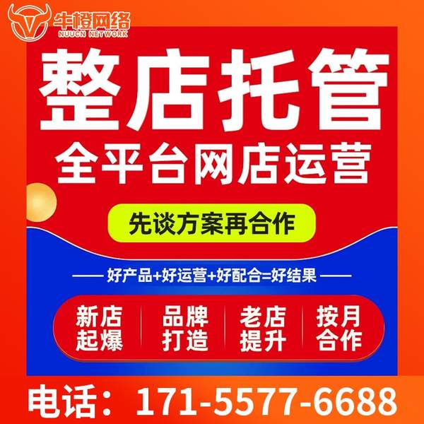 广汉电商代运营