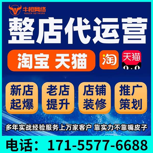 广汉电商代运营