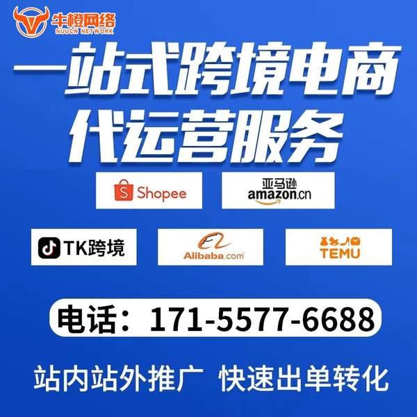 广汉电商代运营