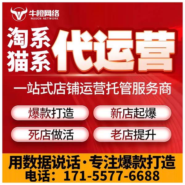 广汉电商代运营